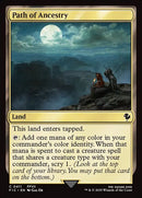 411-pathofancestry