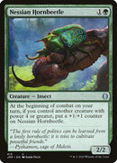 413-nessianhornbeetle