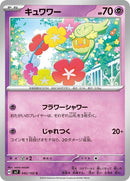42-comfey