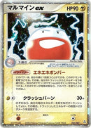 42-electrodeex