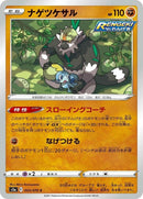 43-passimian