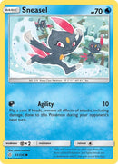 43-sneasel