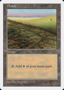431-plains
