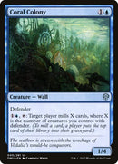 45-coralcolony