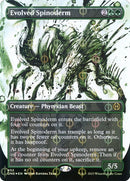 452-evolvedspinoderm