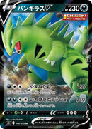 46-tyranitarv