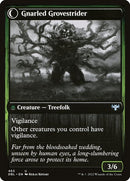 465-dormantgrovegnarledgrovestrider-b
