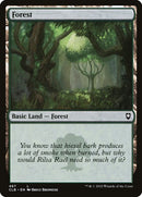 467-forest