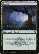 469-forest