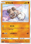 47-rockruff