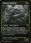 476-moldgrafmillipede