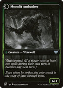 479-oakshadestalkermoonlitambusher-b