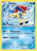 48-keldeo