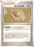 48-rootfossil