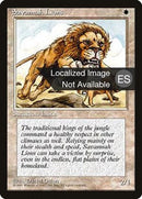 48-savannahlions