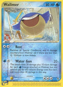 48-wailmer