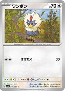 49-rufflet