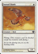 49-suntailhawk