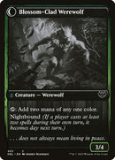 493-weaverofblossomsblossomcladwerewolf-b