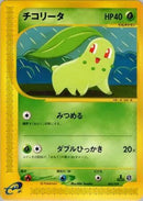 5-chikorita