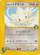 5-falknerstogetic