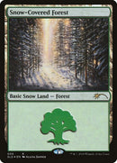 5-snowcoveredforest