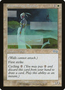 50-shimmeringbarrier