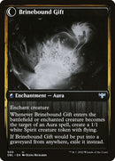 500-brinecomberbrineboundgift-b