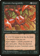 51-carrionants