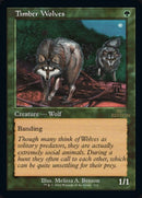512-timberwolves