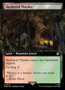 514-shelteredthicket