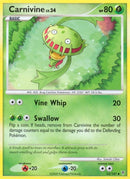 53-carnivine