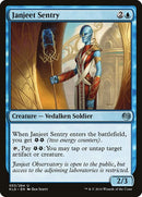 53-janjeetsentry