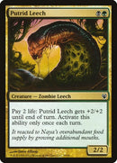 53-putridleech