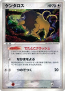 53-tauros