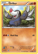 55-drilbur