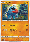55-nosepass