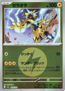 55-zeraora-energysymbolpattern