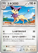 56-delcatty