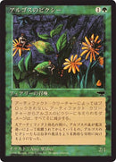 57-argothianpixies
