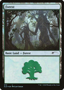 572-forest