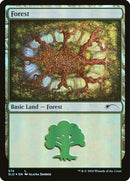 574-forest