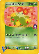 59-erikasbellossom