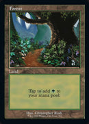 593-forest