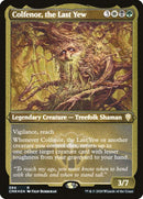 594-colfenorthelastyew