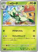 6-floragato