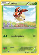 6-ledyba