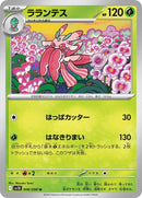 6-lurantis