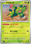 6-maractus