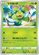 6-maractus